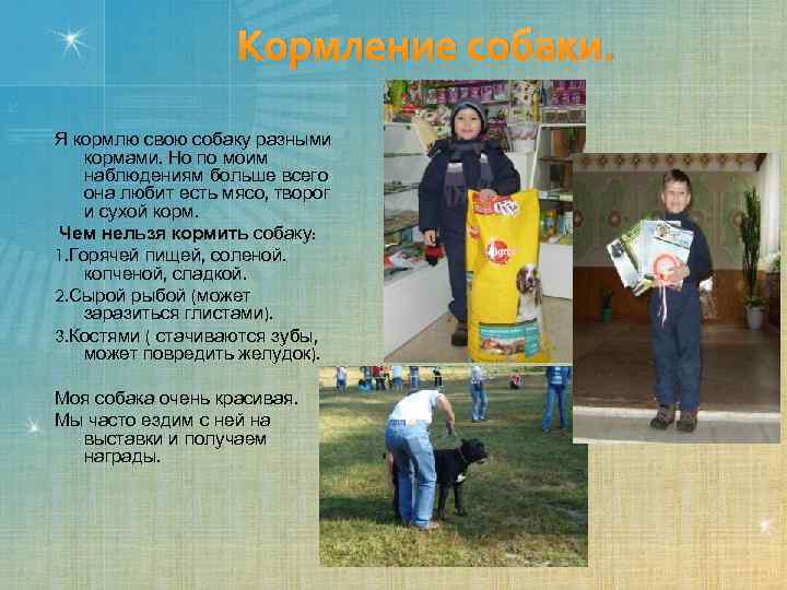 Кормление собаки. Я кормлю свою собаку разными кормами. Но по моим наблюдениям больше всего