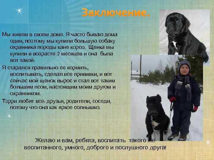 Заключение. Мы живем в своем доме. Я часто бываю дома один, поэтому мы купили