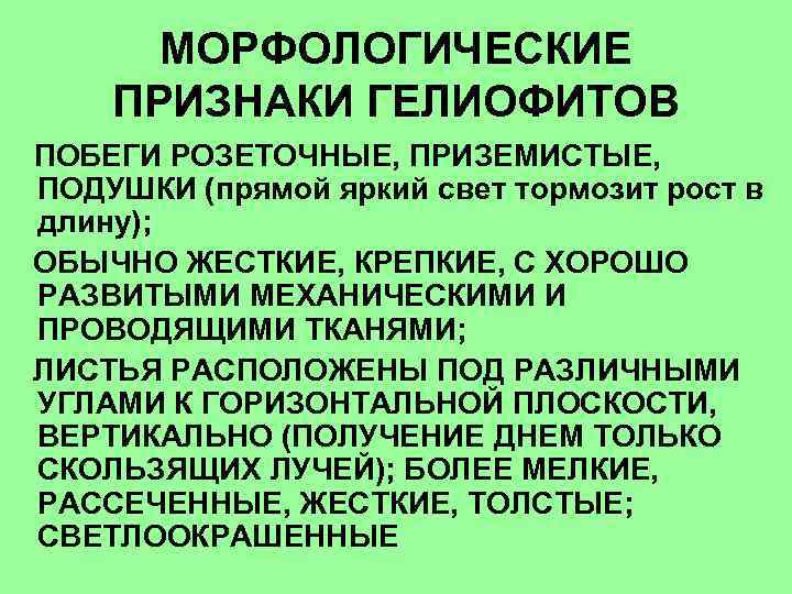 Гелиофиты