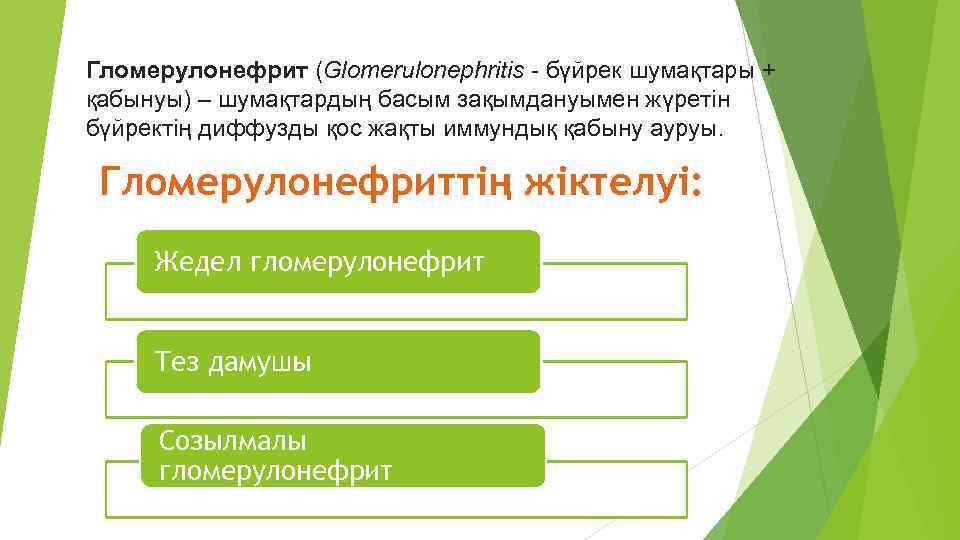 Гломерулонефрит (Glomerulonephritis - бүйрек шумақтары + қабынуы) – шумақтардың басым зақымдануымен жүретін бүйректің диффузды