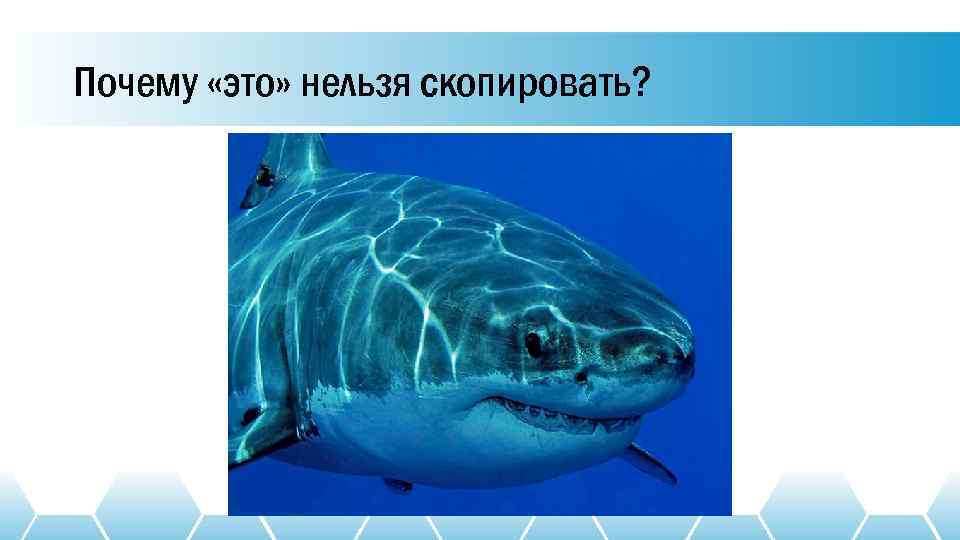 Почему «это» нельзя скопировать? 