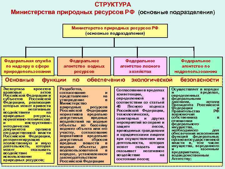 Министерство природных ресурсов РФ структура. Структура Минприроды РФ схема. Федеральные учреждения подведомственные федеральным министерствам