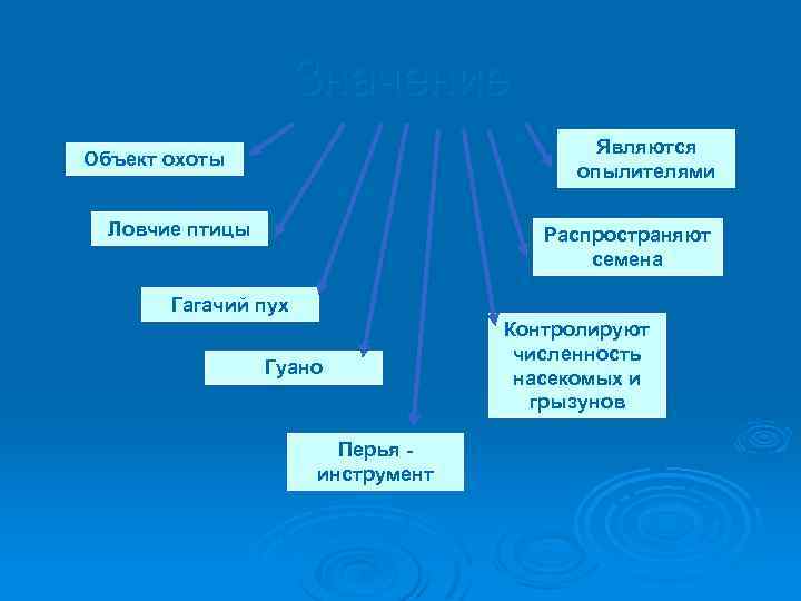 Значение Являются опылителями Объект охоты Ловчие птицы Распространяют семена Гагачий пух Гуано Перья инструмент