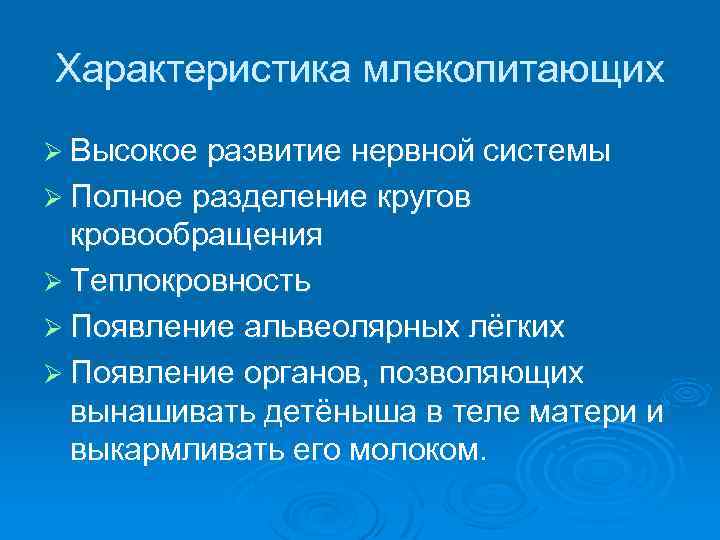 Высшие млекопитающие характеристика