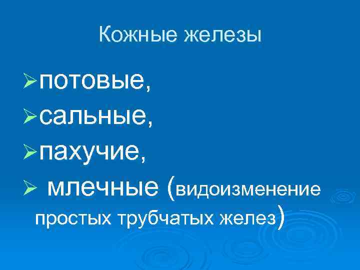 Кожные железы Øпотовые, Øсальные, Øпахучие, Ø млечные (видоизменение простых трубчатых желез) 