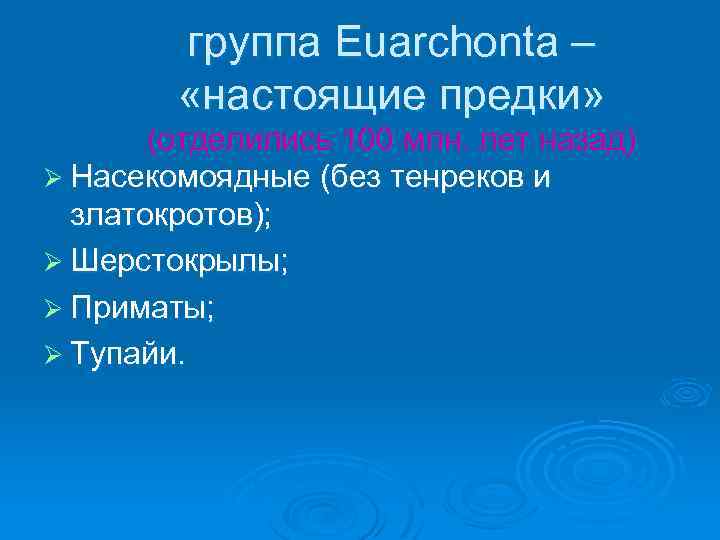 группа Euarchonta – «настоящие предки» (отделились 100 млн. лет назад) Ø Насекомоядные (без тенреков