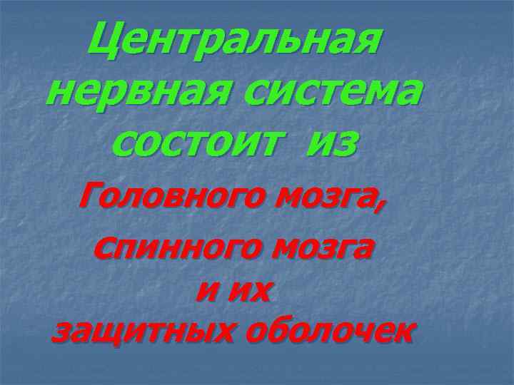 Центральная нервная система состоит из Головного мозга, спинного мозга и их защитных оболочек 