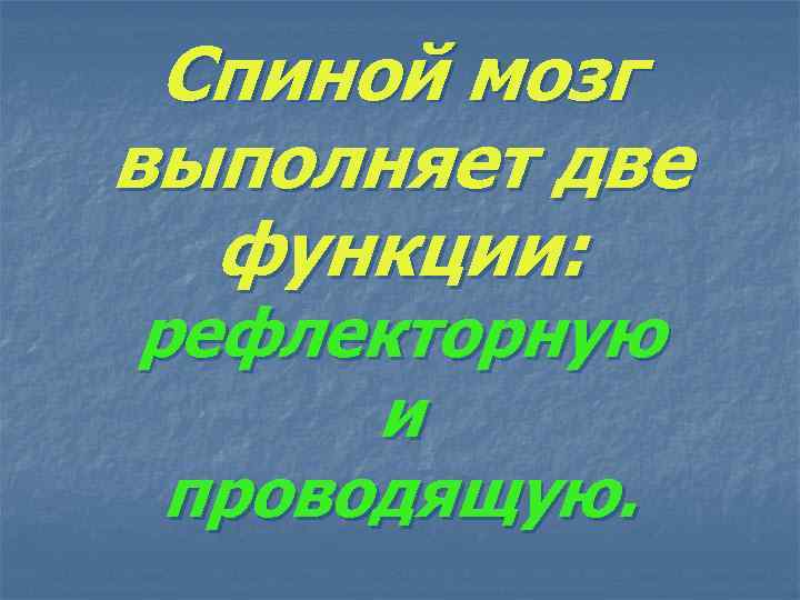 Спиной мозг выполняет две функции: рефлекторную и проводящую. 