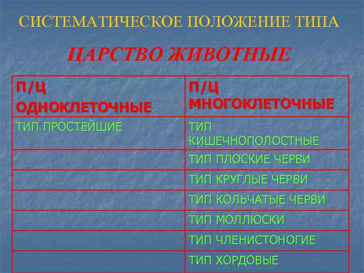 СИСТЕМАТИЧЕСКОЕ ПОЛОЖЕНИЕ ТИПА ЦАРСТВО ЖИВОТНЫЕ П/Ц ОДНОКЛЕТОЧНЫЕ П/Ц МНОГОКЛЕТОЧНЫЕ ТИП ПРОСТЕЙШИЕ ТИП КИШЕЧНОПОЛОСТНЫЕ ТИП