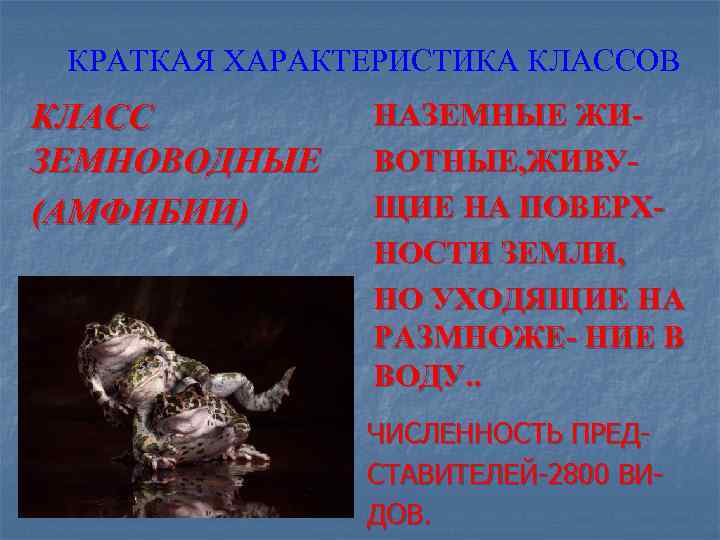 КРАТКАЯ ХАРАКТЕРИСТИКА КЛАССОВ КЛАСС ЗЕМНОВОДНЫЕ (АМФИБИИ) НАЗЕМНЫЕ ЖИВОТНЫЕ, ЖИВУЩИЕ НА ПОВЕРХНОСТИ ЗЕМЛИ, НО УХОДЯЩИЕ