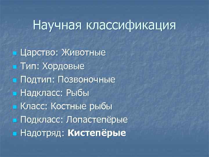 Научная классификация n n n n Царство: Животные Тип: Хордовые Подтип: Позвоночные Надкласс: Рыбы