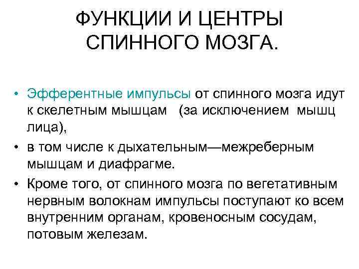 ФУНКЦИИ И ЦЕНТРЫ СПИННОГО МОЗГА. • Эфферентные импульсы от спинного мозга идут к скелетным