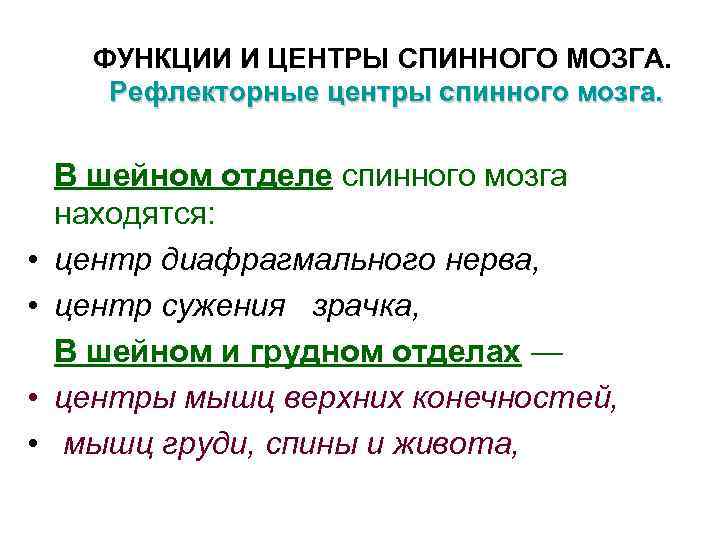 ФУНКЦИИ И ЦЕНТРЫ СПИННОГО МОЗГА. Рефлекторные центры спинного мозга. • • В шейном отделе