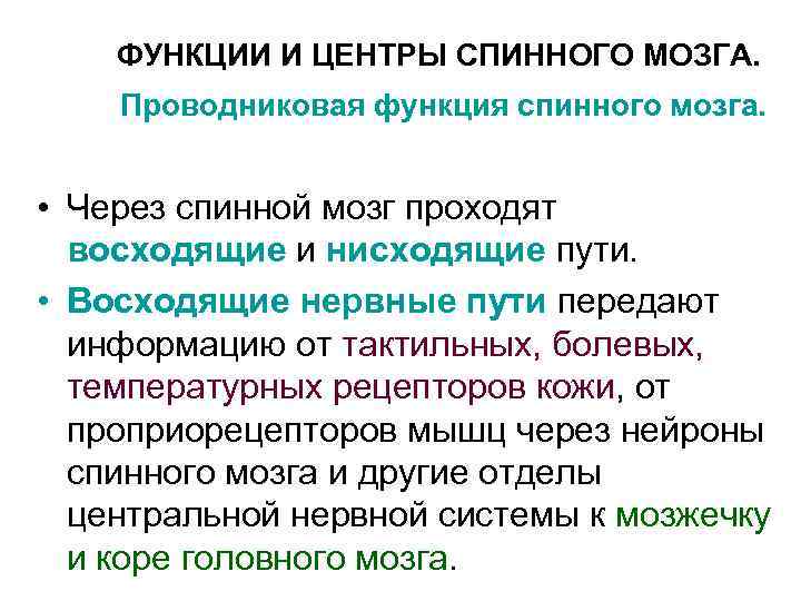 ФУНКЦИИ И ЦЕНТРЫ СПИННОГО МОЗГА. Проводниковая функция спинного мозга. • Через спинной мозг проходят