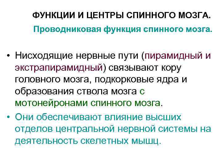 ФУНКЦИИ И ЦЕНТРЫ СПИННОГО МОЗГА. Проводниковая функция спинного мозга. • Нисходящие нервные пути (пирамидный