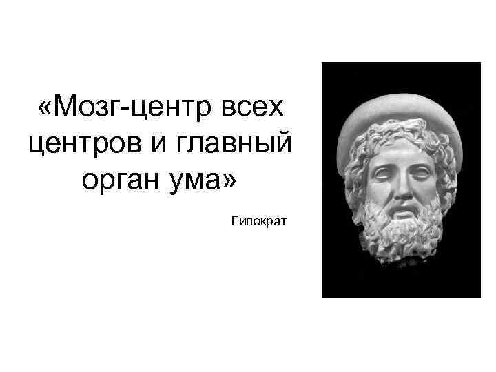  «Мозг-центр всех центров и главный орган ума» Гипократ 