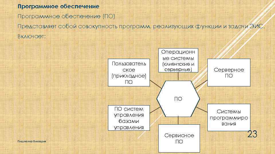 Программное обеспечение (ПО) Представляет собой совокупность программ, реализующих функции и задачи ЭИС. Включает: Пользователь