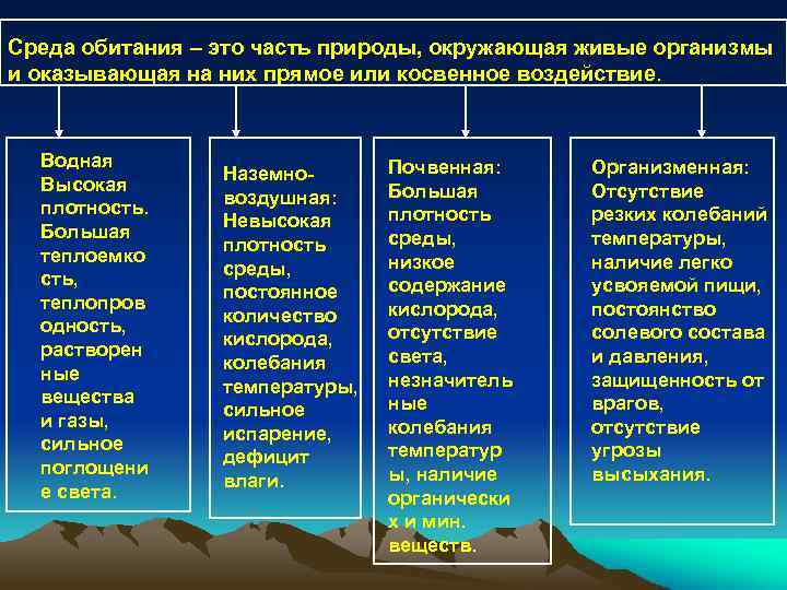 Среда обитания – это часть природы, окружающая живые организмы и оказывающая на них прямое