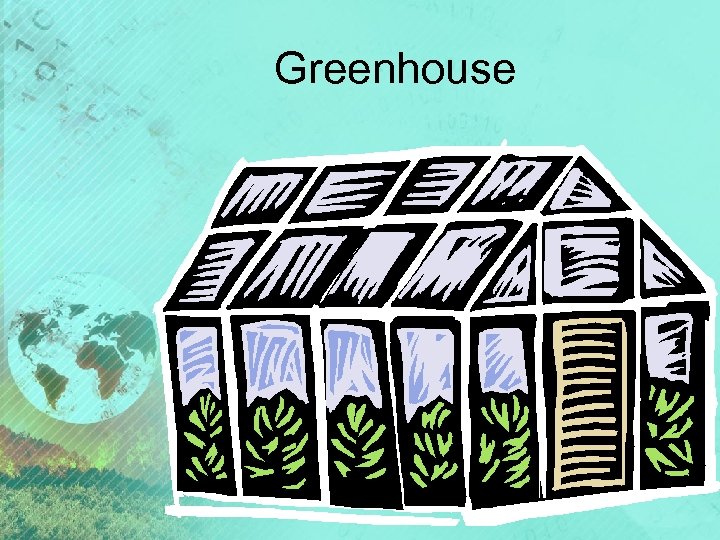 Greenhouse 