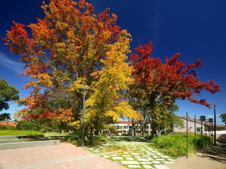 significant opportunities for Ph. D study 