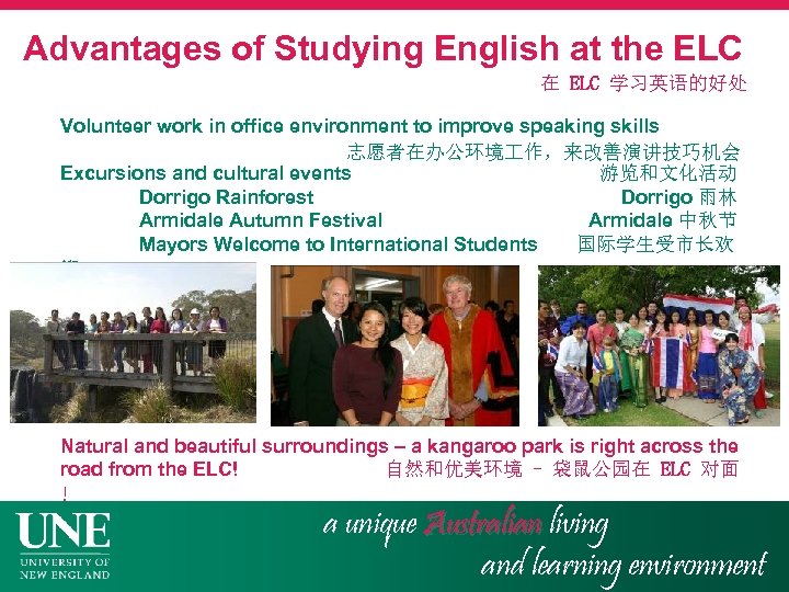 Advantages of Studying English at the ELC 在 ELC 学习英语的好处 Volunteer work in office