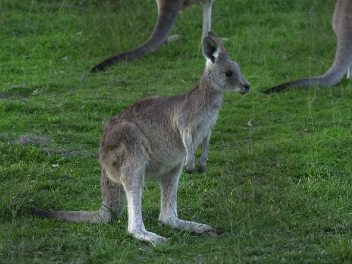 a unique Australian living and learning environment 