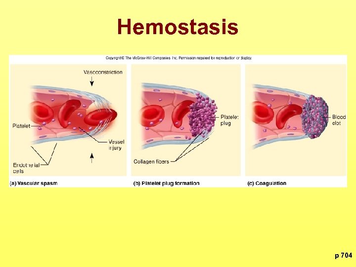Hemostasis p 704 