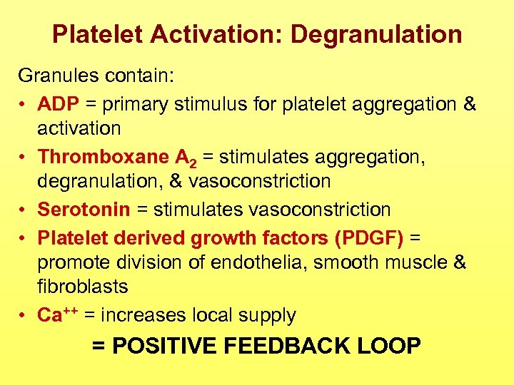 Platelet Activation: Degranulation Granules contain: • ADP = primary stimulus for platelet aggregation &