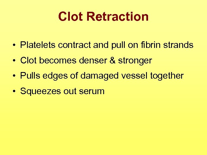 Clot Retraction • Platelets contract and pull on fibrin strands • Clot becomes denser