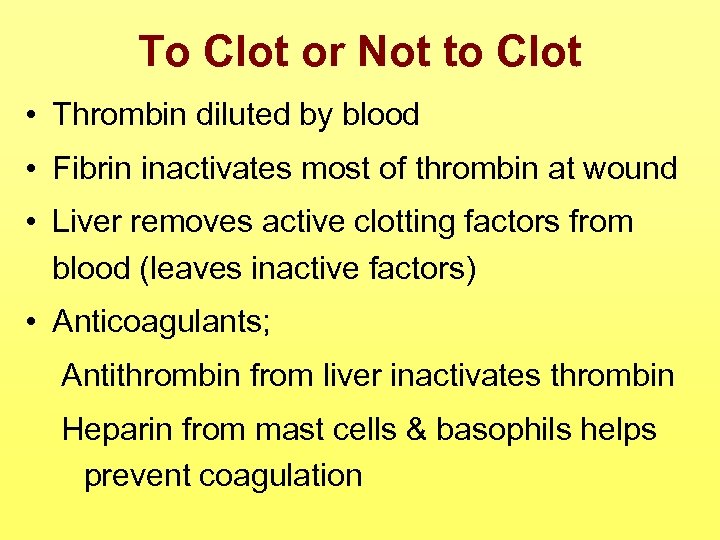 To Clot or Not to Clot • Thrombin diluted by blood • Fibrin inactivates