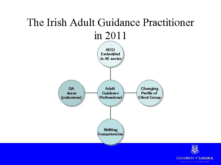 The Irish Adult Guidance Practitioner in 2011 AEGI Embedded in AE sector QA Issue