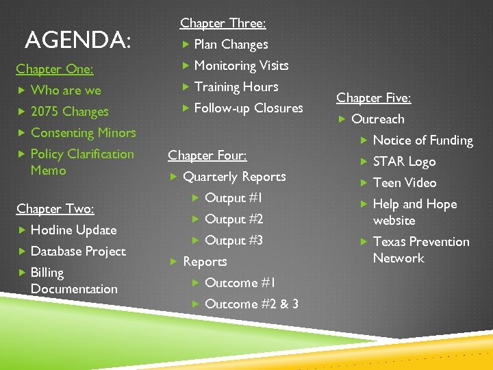 AGENDA: Chapter Three: Plan Changes Chapter One: Monitoring Visits Who are we Training Hours