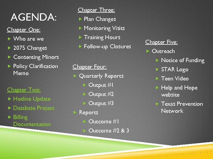 AGENDA: Chapter Three: Plan Changes Chapter One: Monitoring Visits Who are we Training Hours