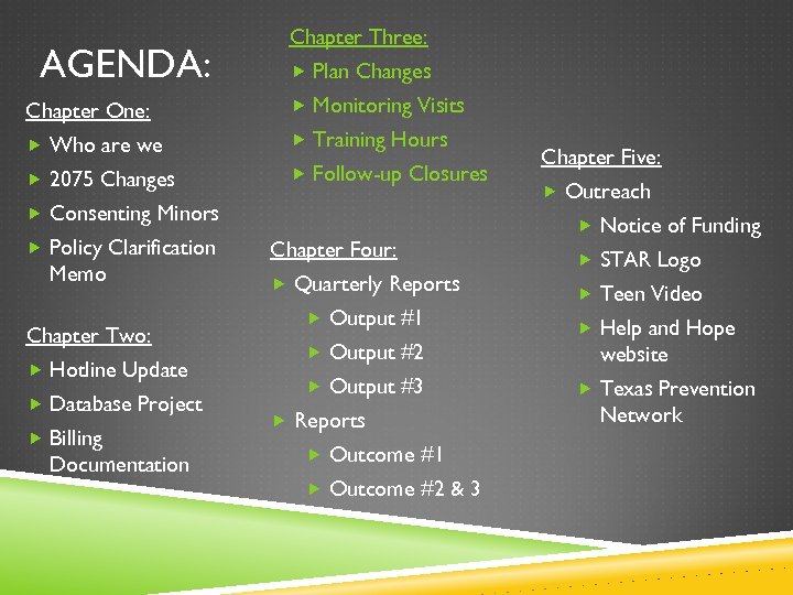 AGENDA: Chapter Three: Plan Changes Chapter One: Monitoring Visits Who are we Training Hours