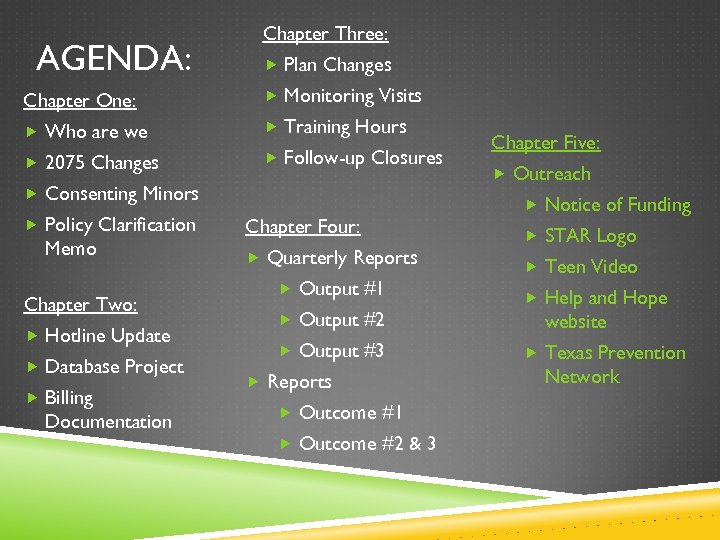 AGENDA: Chapter Three: Plan Changes Chapter One: Monitoring Visits Who are we Training Hours