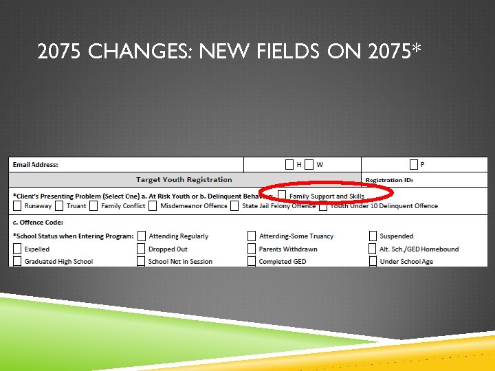 2075 CHANGES: NEW FIELDS ON 2075* 