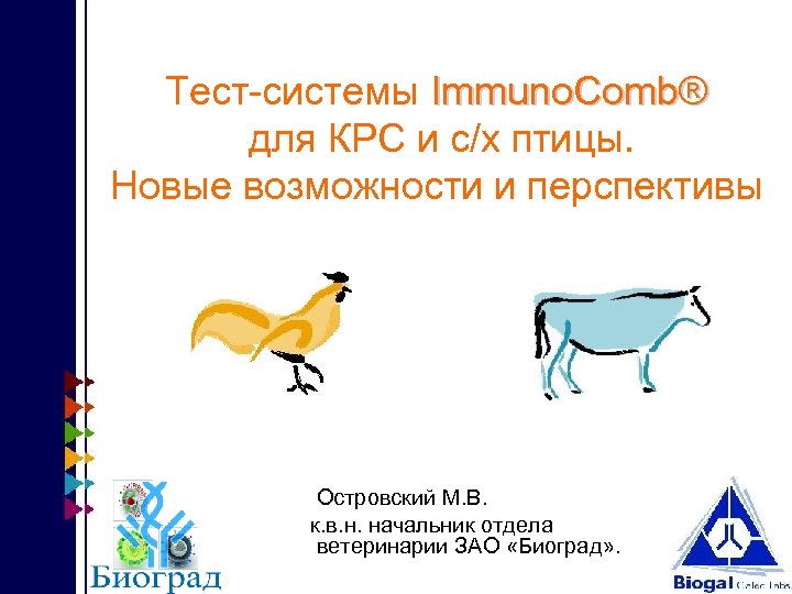 Тест-системы Immuno. Comb® для КРС и с/х птицы. Новые возможности и перспективы Островский М.