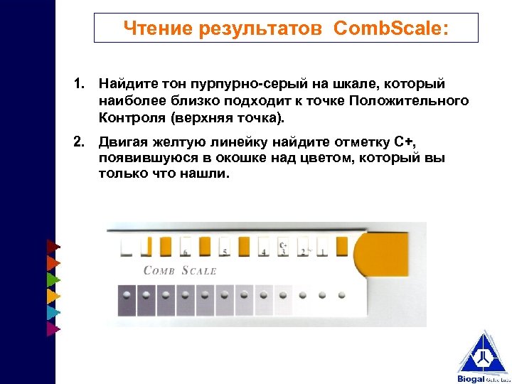 Чтение результатов Comb. Scale: 1. Найдите тон пурпурно-серый на шкале, который наиболее близко подходит