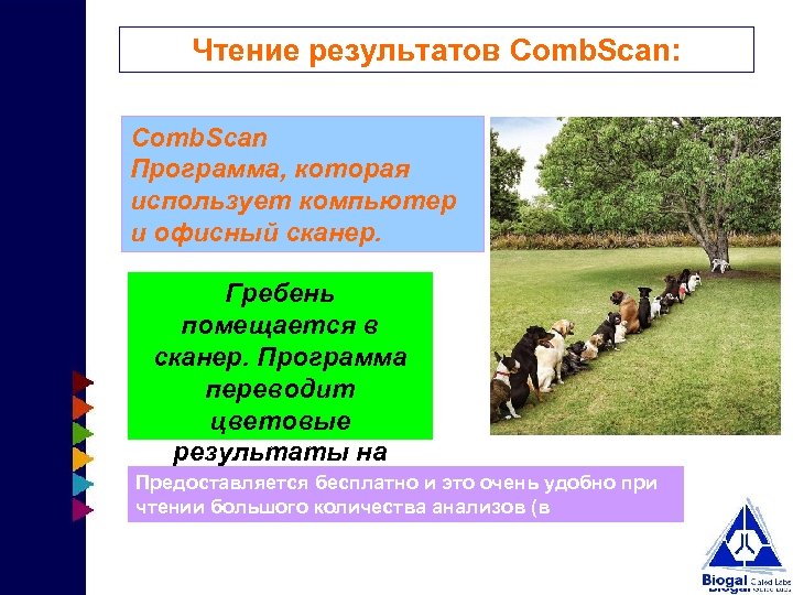 Чтение результатов Comb. Scan: Comb. Scan Программа, которая использует компьютер и офисный сканер. Гребень