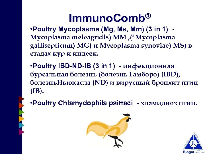 Immuno. Comb® • Poultry Mycoplasma (Mg, Ms, Mm) (3 in 1) - Mycoplasma meleagridis)