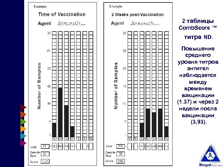 2 таблицы Comb. Score ™ титра ND. Повышение среднего уровня титров антител наблюдается между