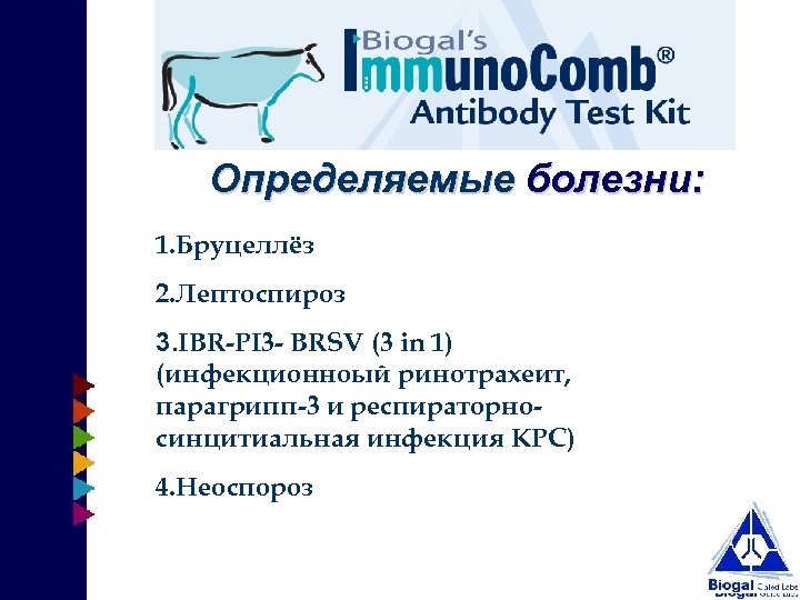 Определяемые болезни: 1. Бруцеллёз 2. Лептоспироз 3. IBR-PI 3 - BRSV (3 in 1)