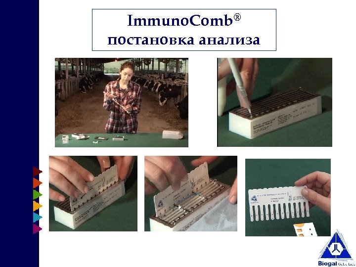 Immuno. Comb® постановка анализа 