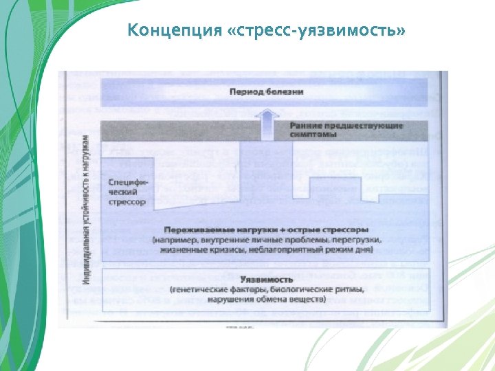 Концепция «стресс уязвимость» 