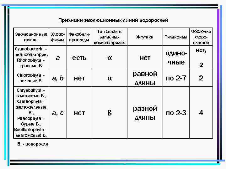 Признаки эволюционных линий водорослей Эволюционные Хлоро- Фикобилигруппы филлы протеиды Cyanobacteria – цианобактерии, Rhodophyta –