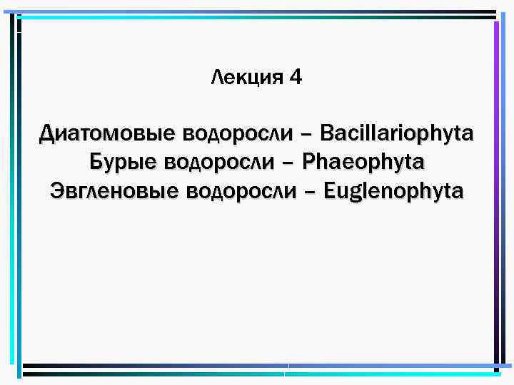 Лекция 4 Диатомовые водоросли – Bacillariophyta Бурые водоросли – Phaeophyta Эвгленовые водоросли – Euglenophyta