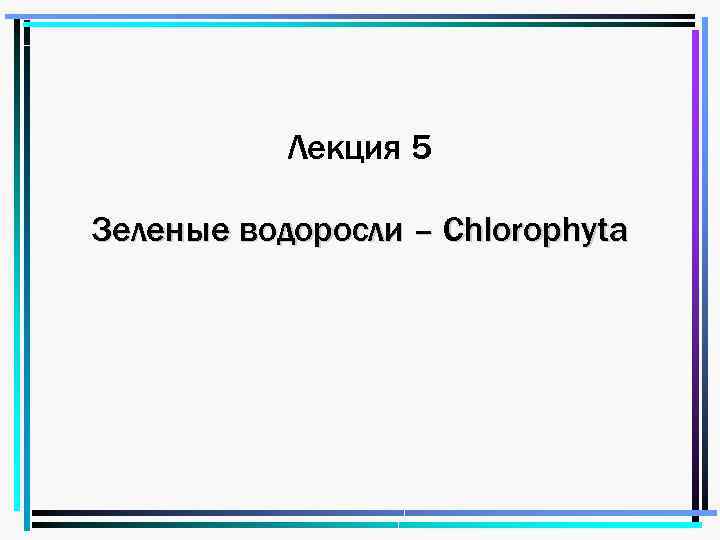 Лекция 5 Зеленые водоросли – Chlorophyta 