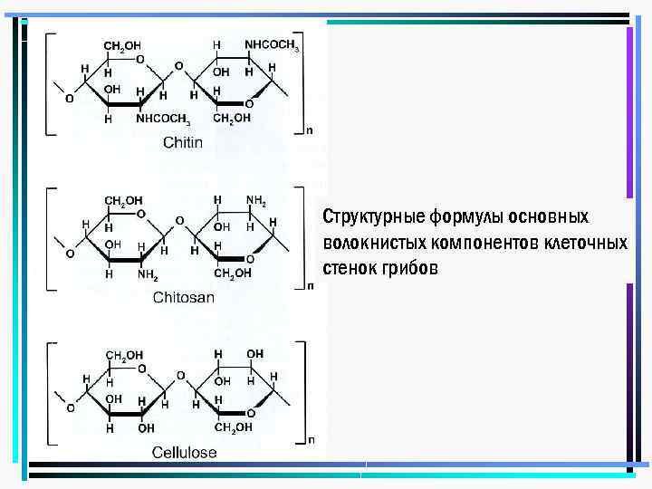 Структурные формулы основных волокнистых компонентов клеточных стенок грибов 