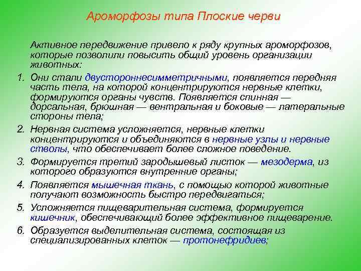 Ароморфозы типа Плоские черви 1. 2. 3. 4. 5. 6. Активное передвижение привело к