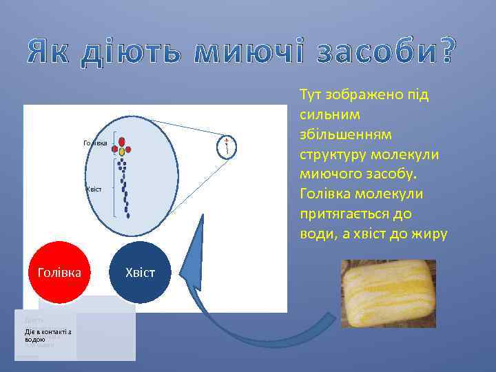 Як діють миючі засоби? Тут зображено під сильним збільшенням структуру молекули миючого засобу. Голівка